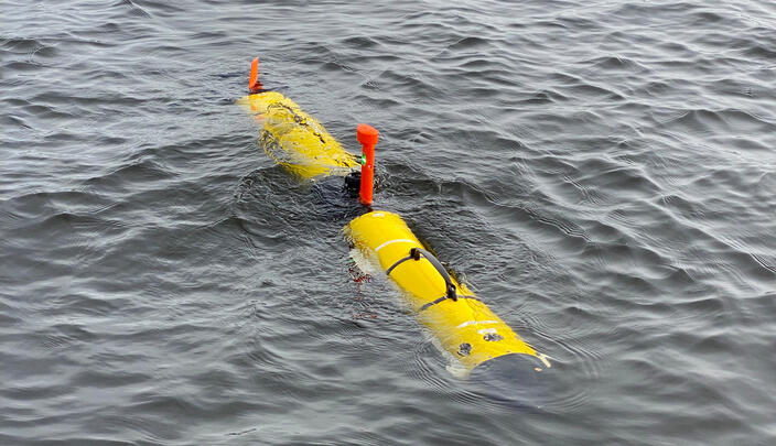 Iver4 580 UUV