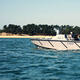 ASV C-Target 9