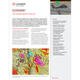 FliteScene Sell Sheet thumbnail image