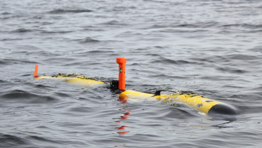 Iver4 580 UUV